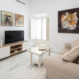 Animalia Apartamento Cádiz