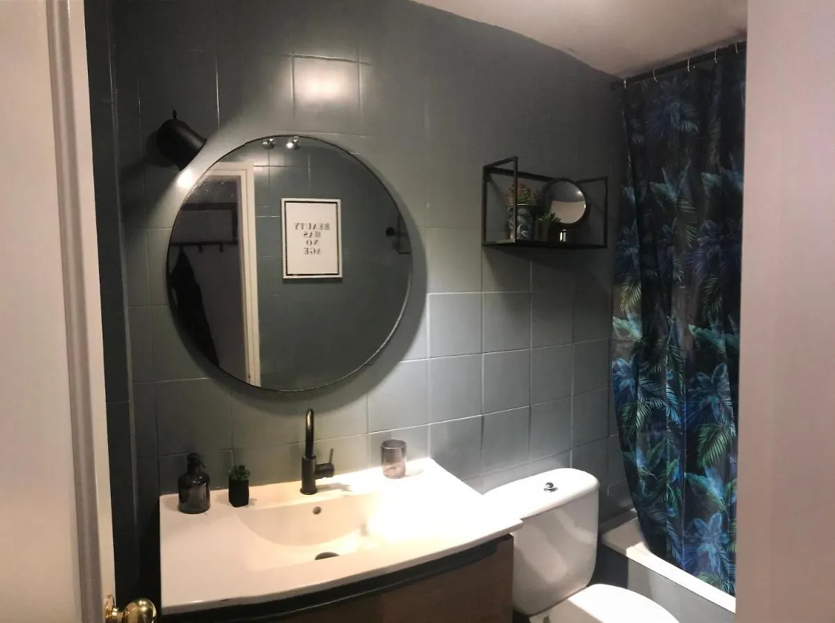 Apartamento Con Encanto Y Terraza En Barri Vell De Girona, El Cul De La Lleona Girona