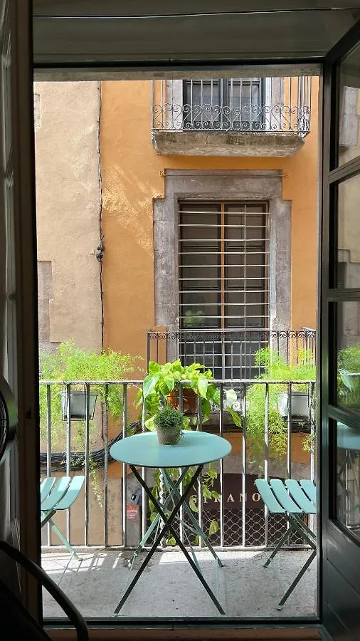 Apartamento Con Encanto Y Terraza En Barri Vell De Girona, El Cul De La Lleona Spain