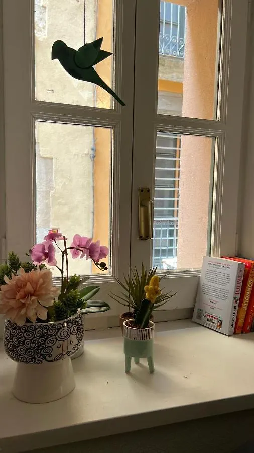 Apartamento Con Encanto Y Terraza En Barri Vell De Girona, El Cul De La Lleona 0*, Girona Spain