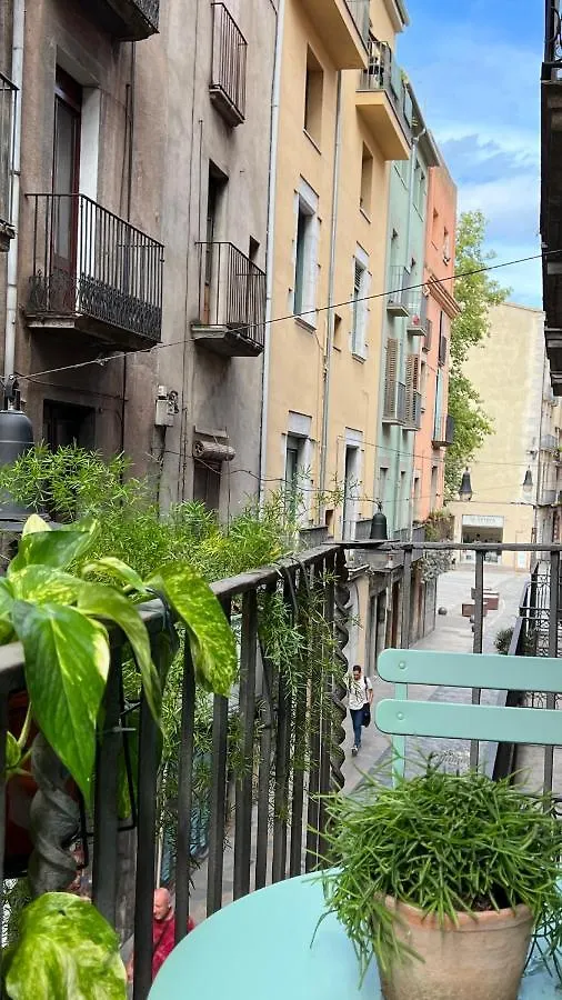 Apartment Apartamento Con Encanto Y Terraza En Barri Vell De Girona, El Cul De La Lleona